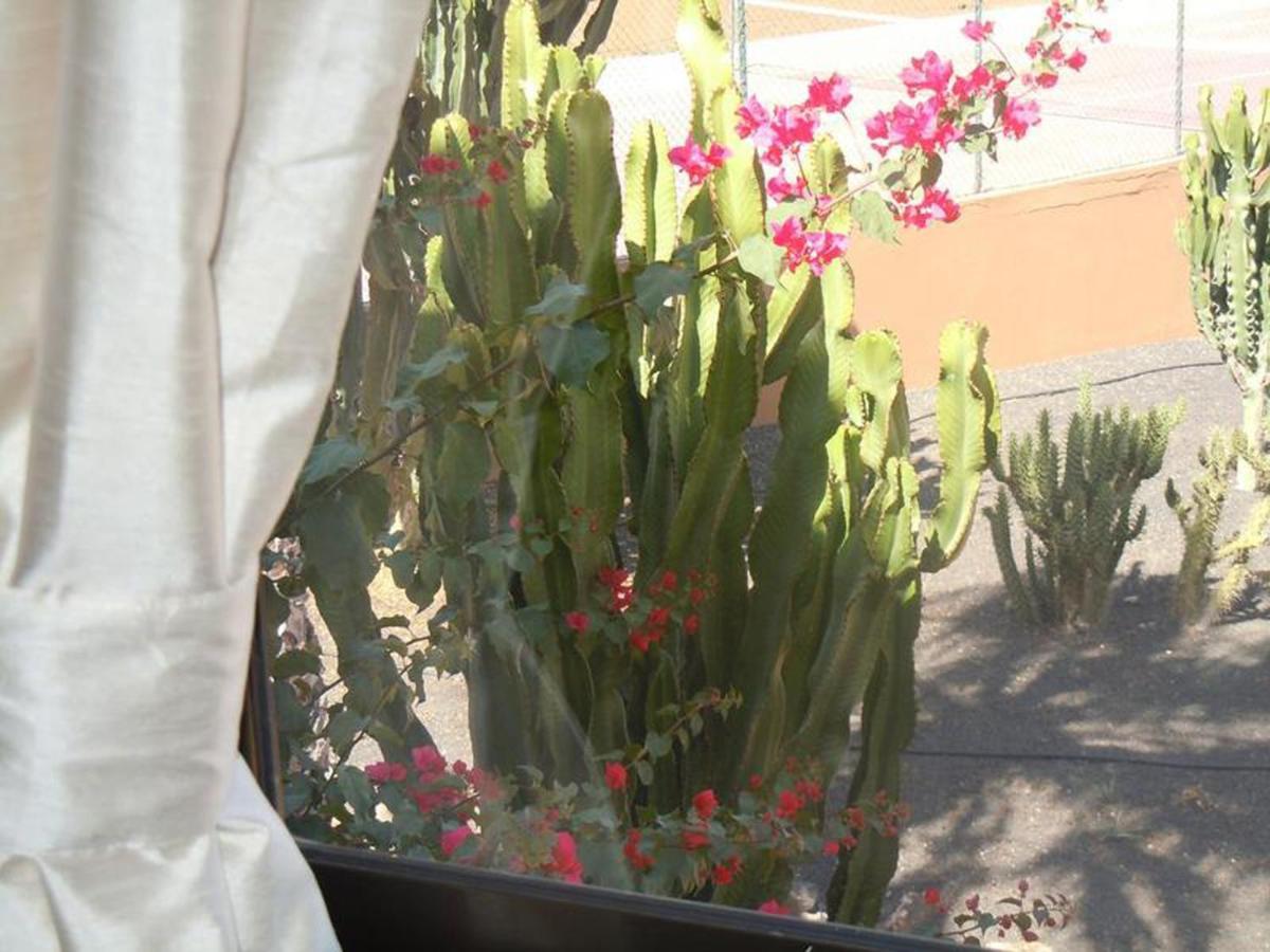 كوراليهو Family Apartment 1 Bedroom With Pool View 2 - Oasis Duna Resort المظهر الخارجي الصورة
